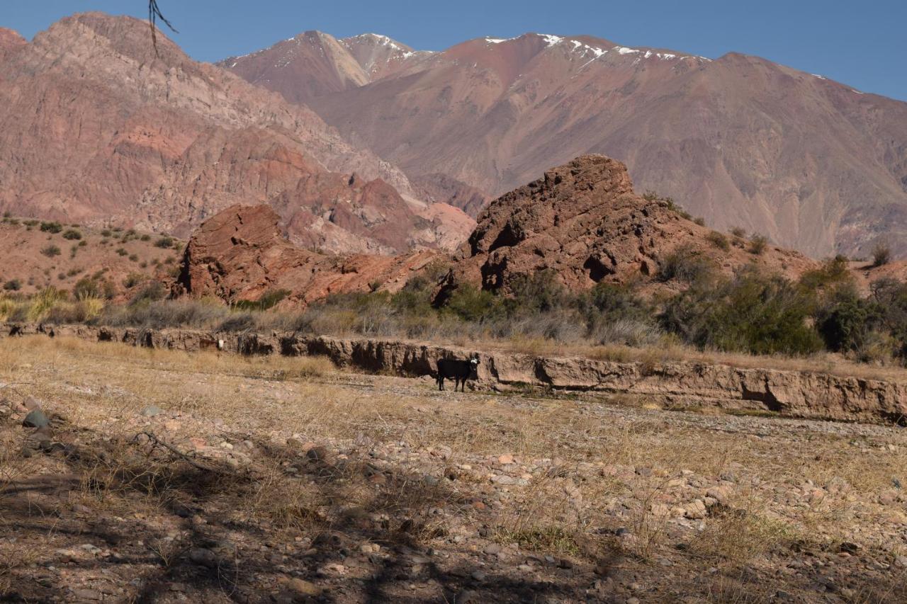 Cabanas De Los Andes Успайата Екстериор снимка